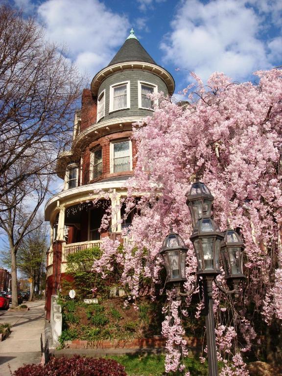 Wilson House Bed & Breakfast Βαλτιμόρη Εξωτερικό φωτογραφία
